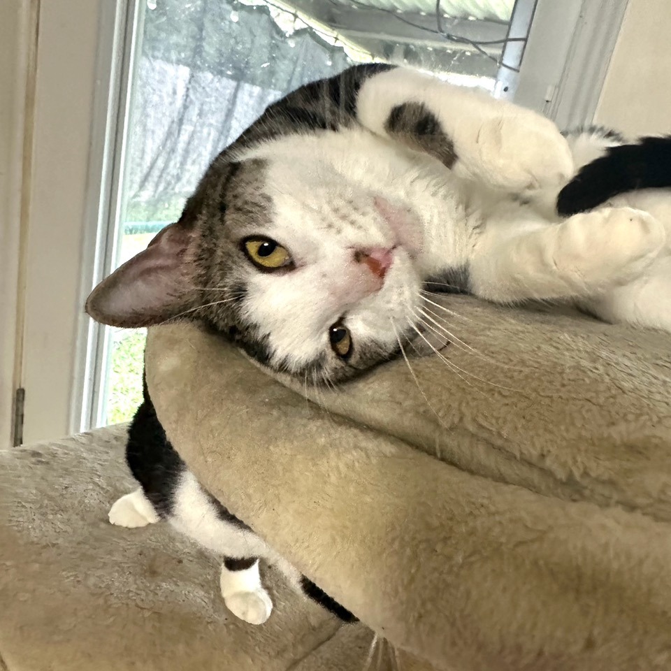 Morty, photo 9