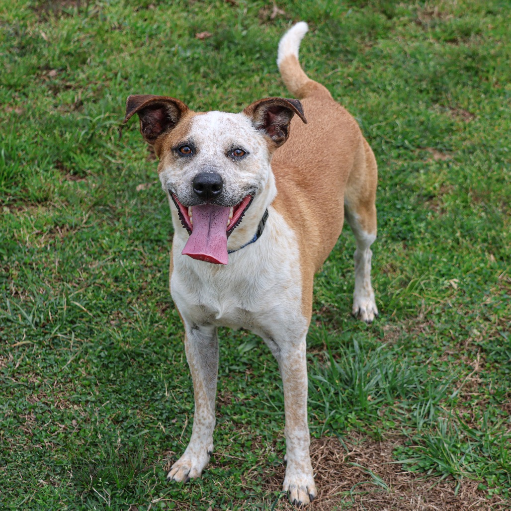 Buster, photo 15