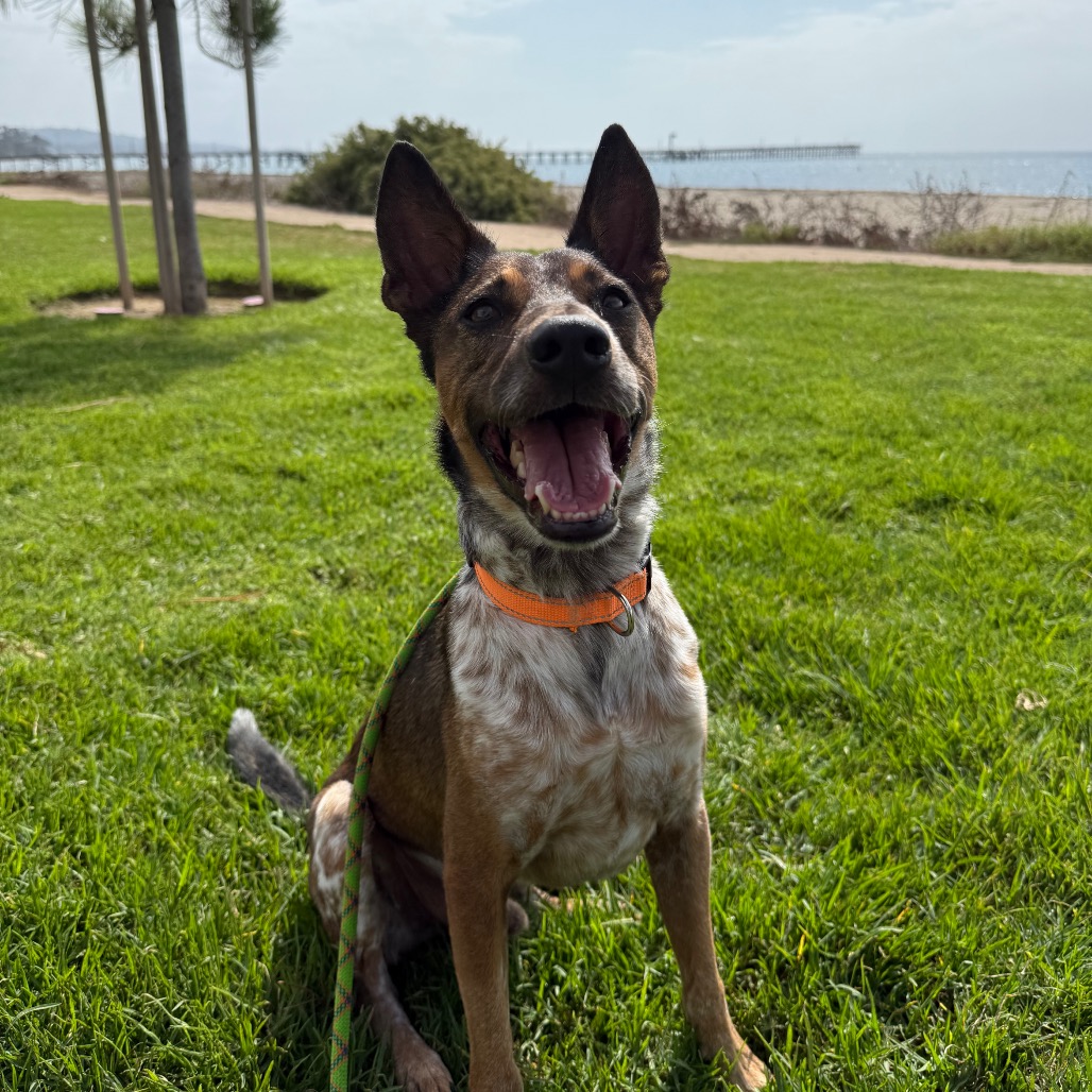 Cash, photo 9