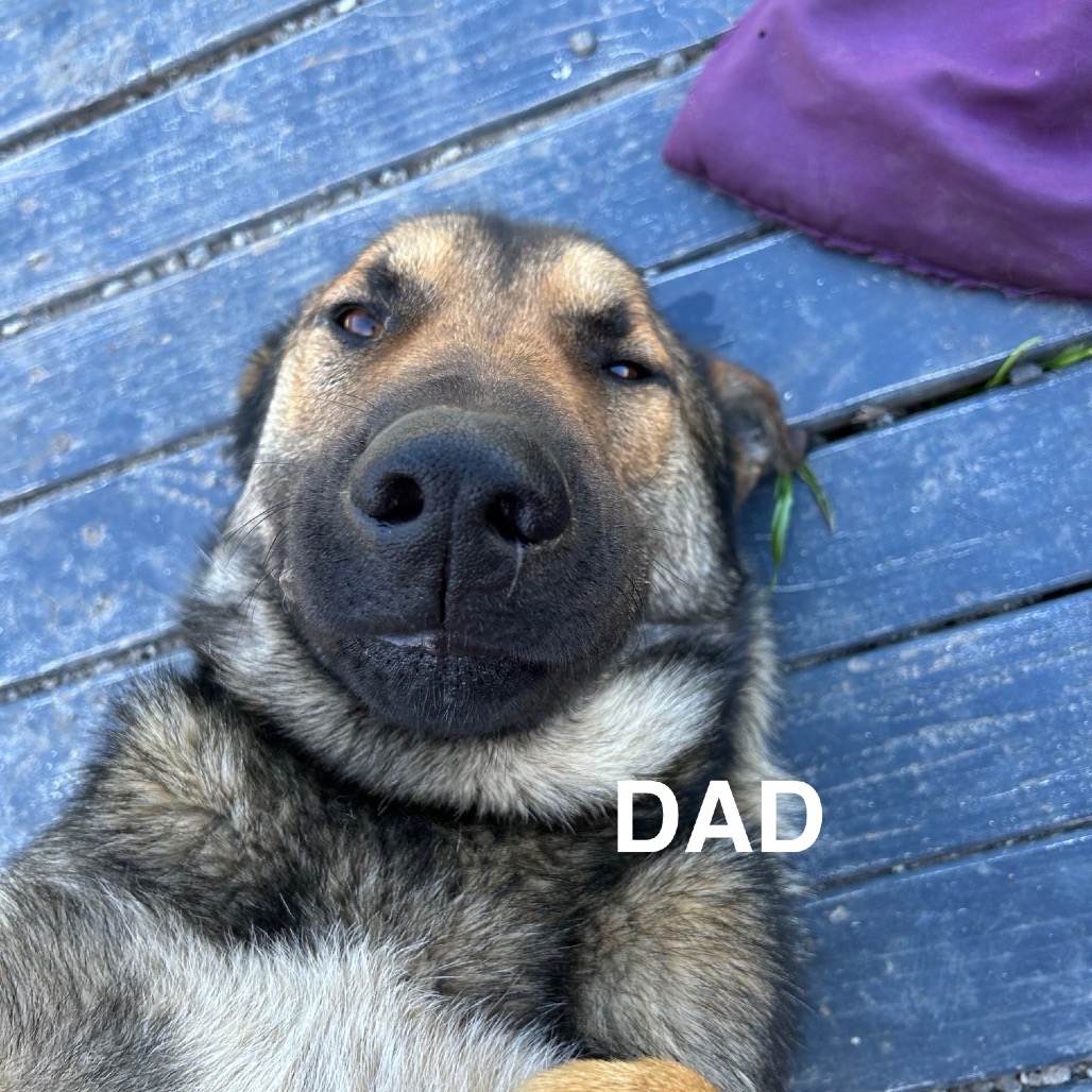 Paulie — thumbnail 2