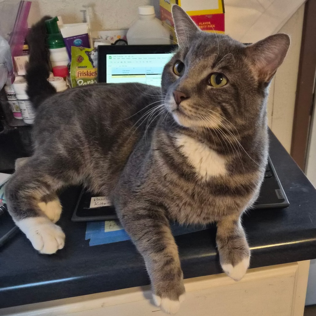 Ricky — thumbnail 2