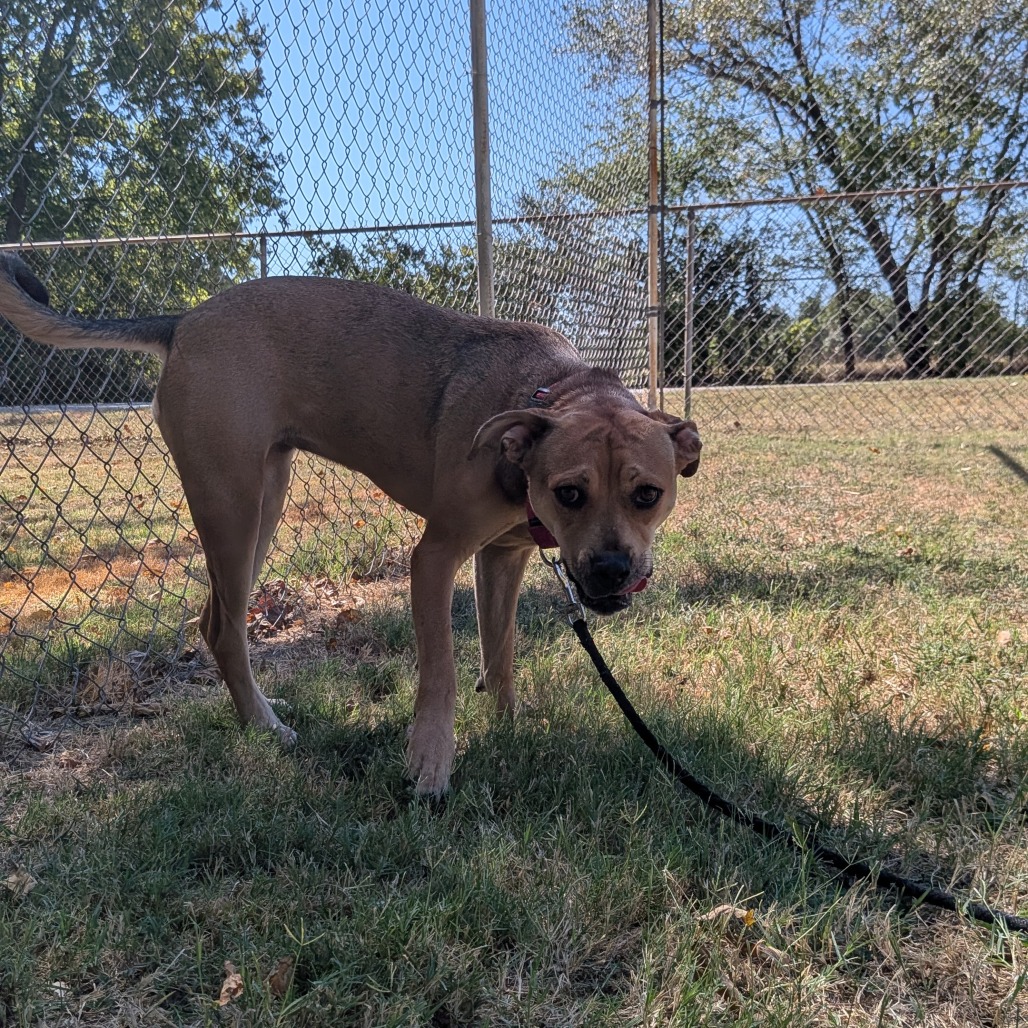 Penny photo 6