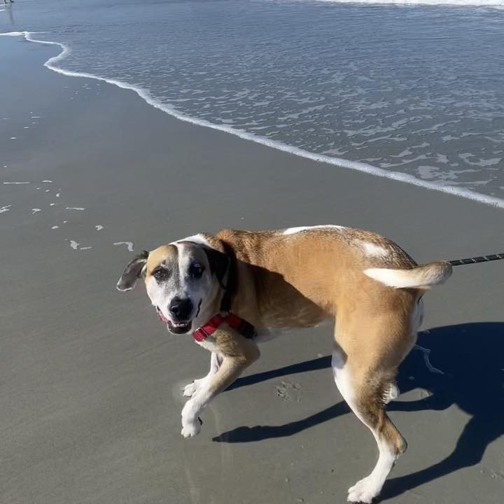 Brady, photo 12
