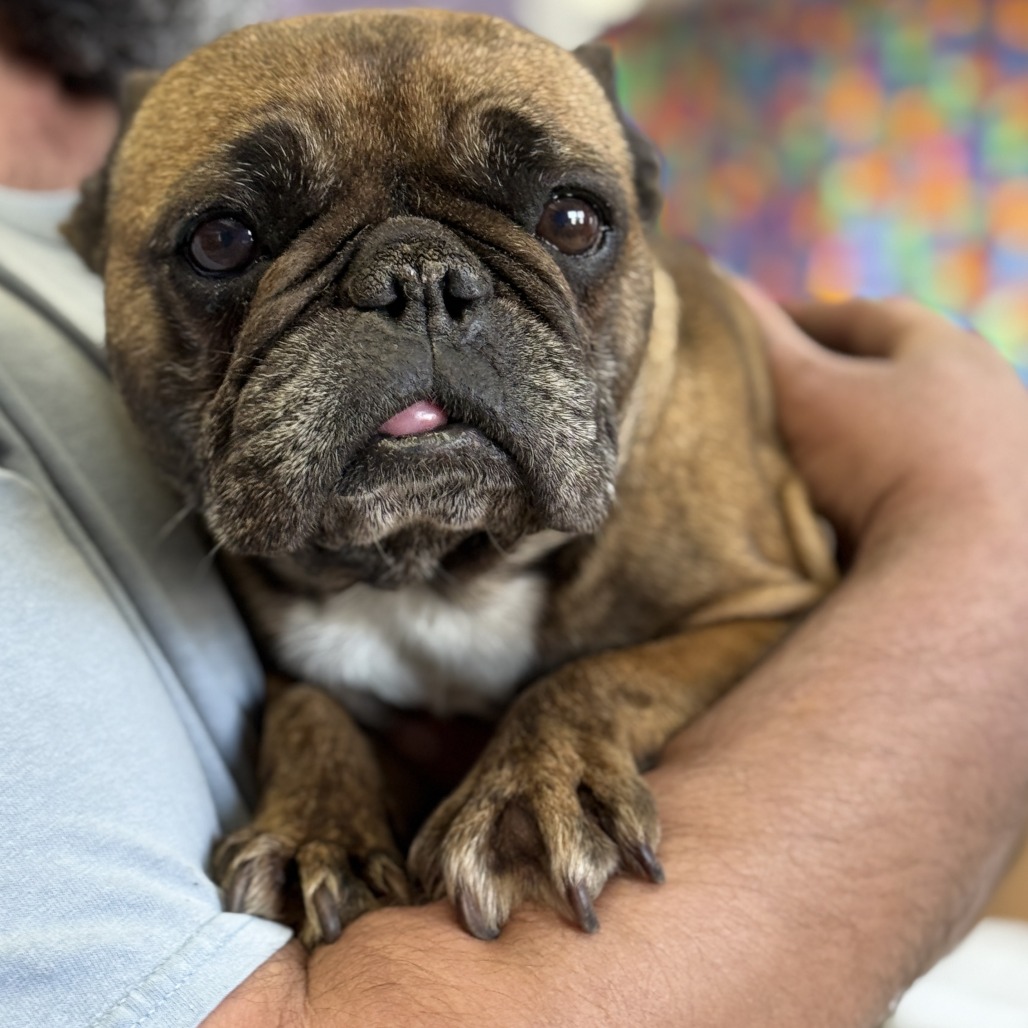 Ethel — thumbnail 2