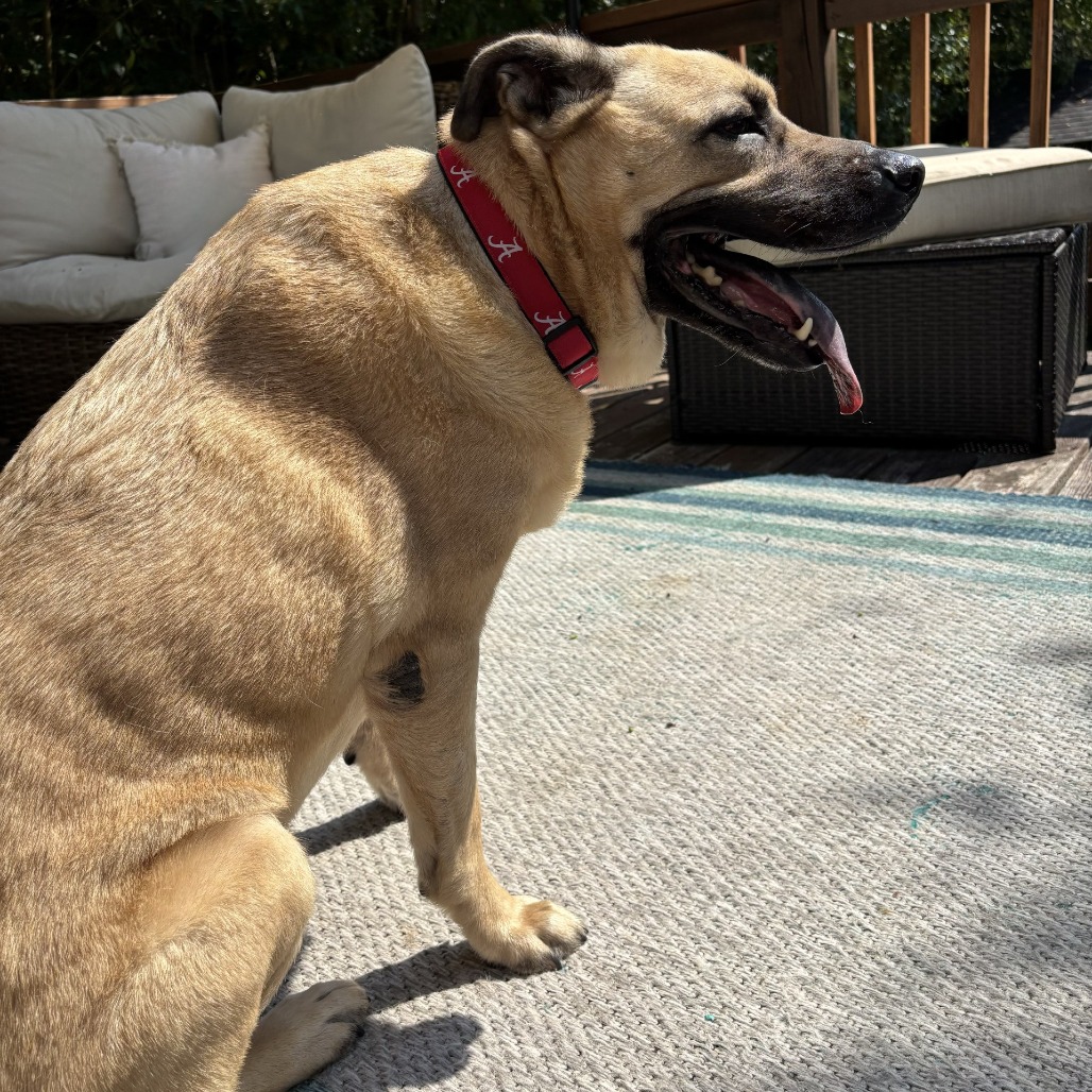 Winston (I have a Secret Crush!), additional photo