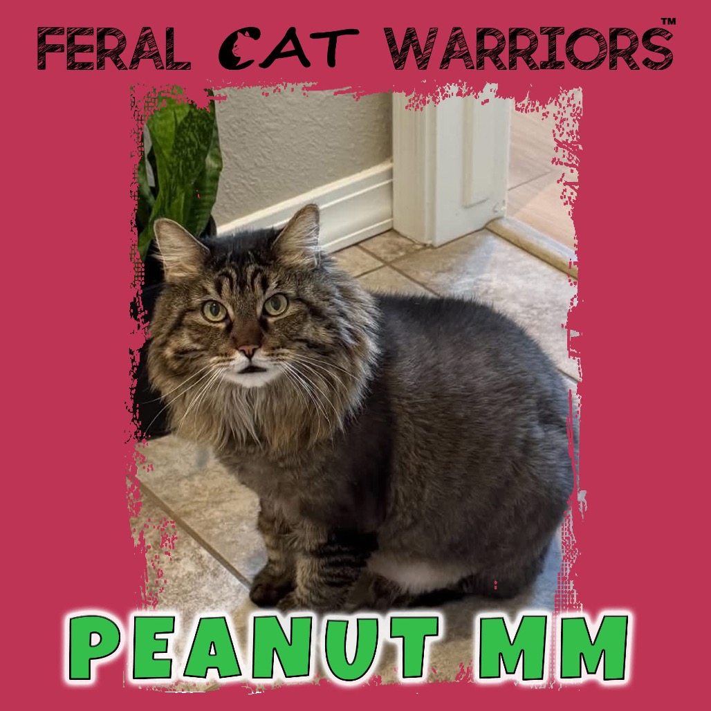 Peanut mm