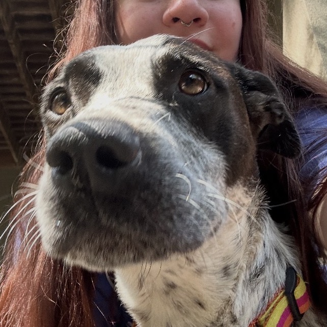 Tracker, photo 7