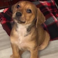 Holly — thumbnail 2