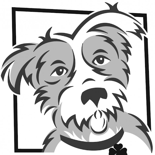 DIO - Feist available for adoption
