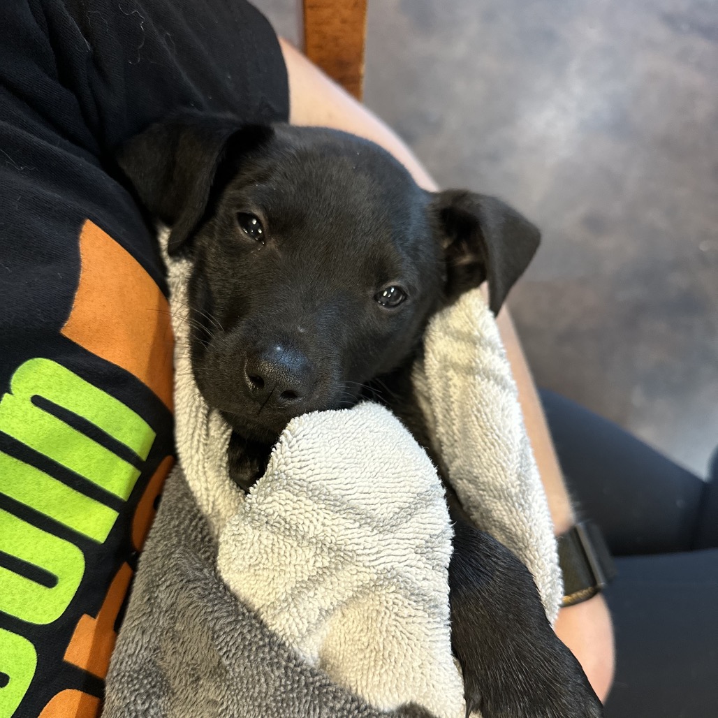 Float — thumbnail 7