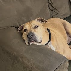 Sampson, photo 11