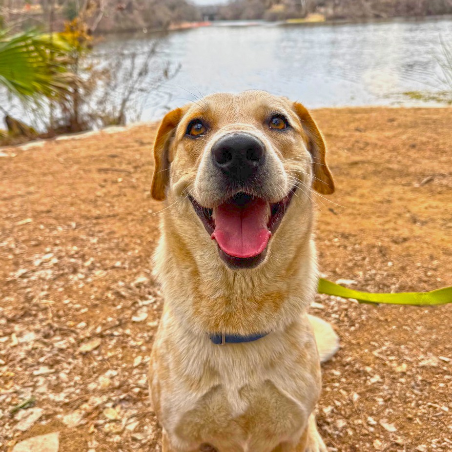 Amelia Earhart — thumbnail 7