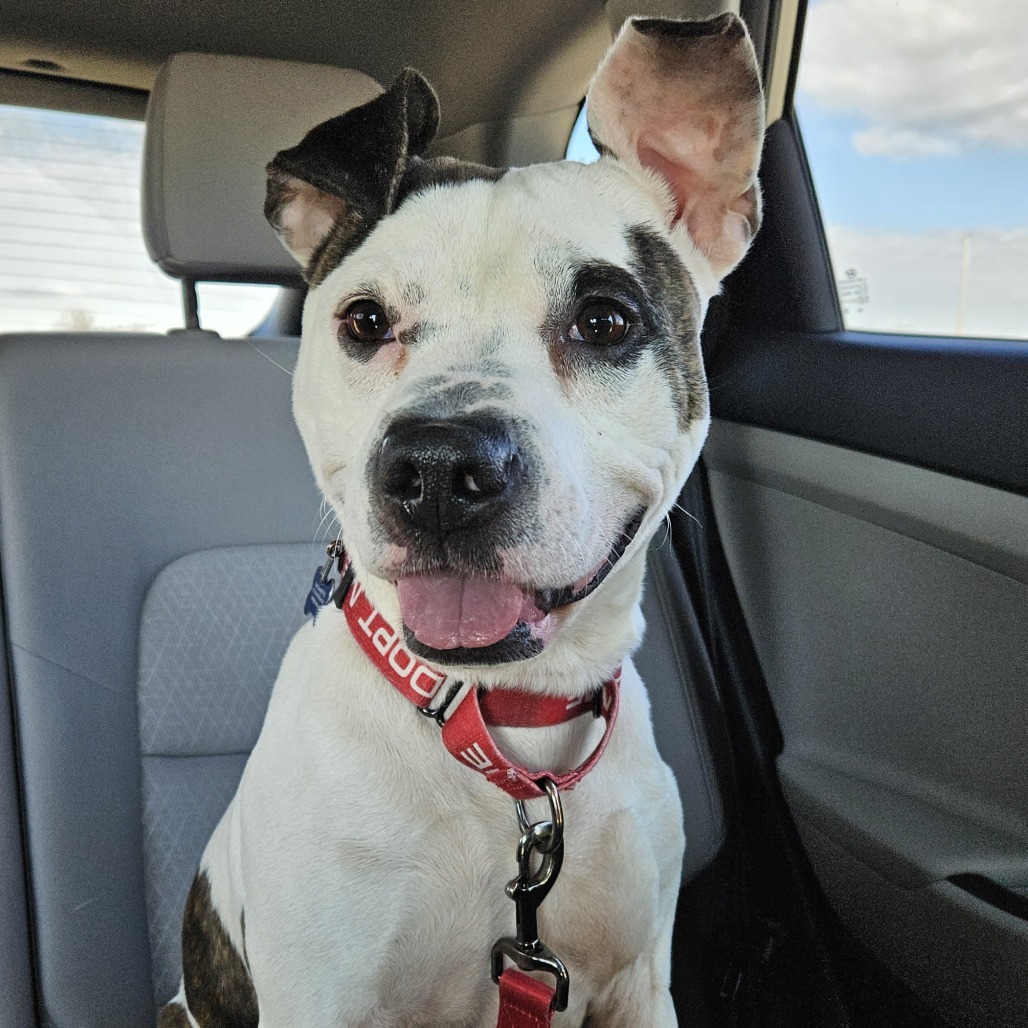 86bb105f1d8969880ea03260b6dd1b89