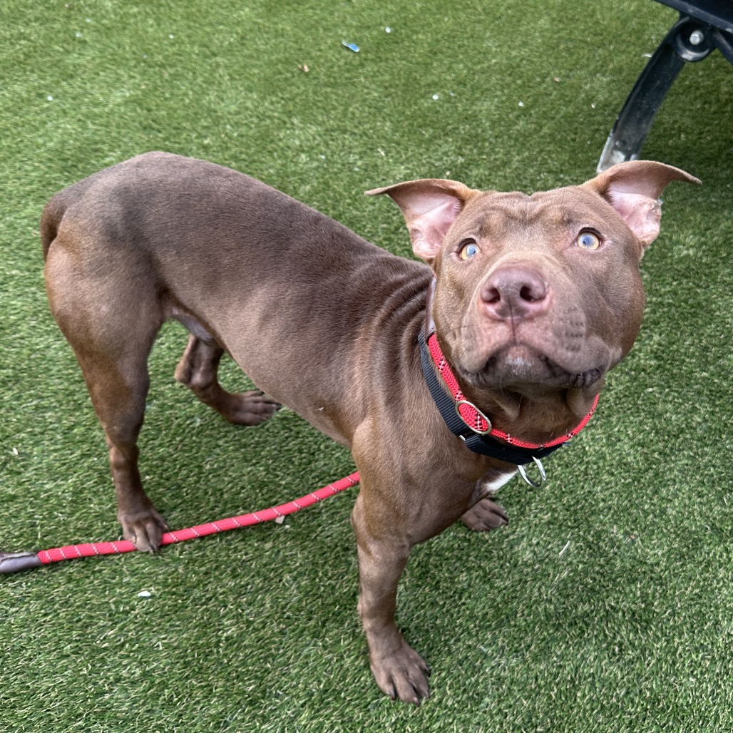 Haze — thumbnail 2