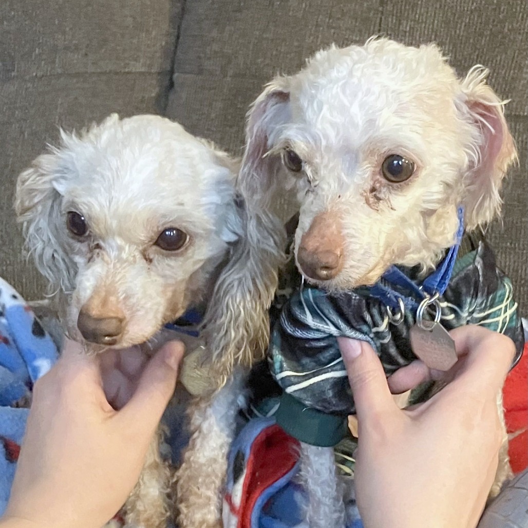 Olivia — thumbnail 3