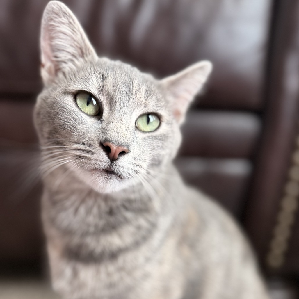 ZOEY