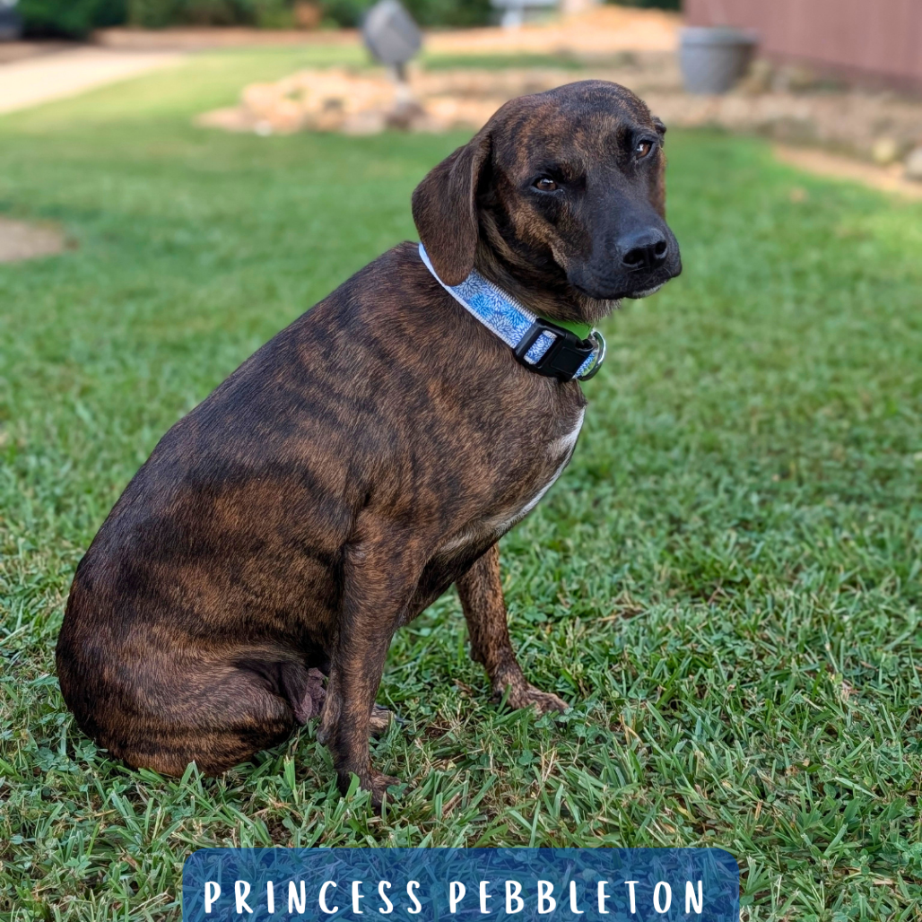 Princess Pebbleton 06-0304, photo 4