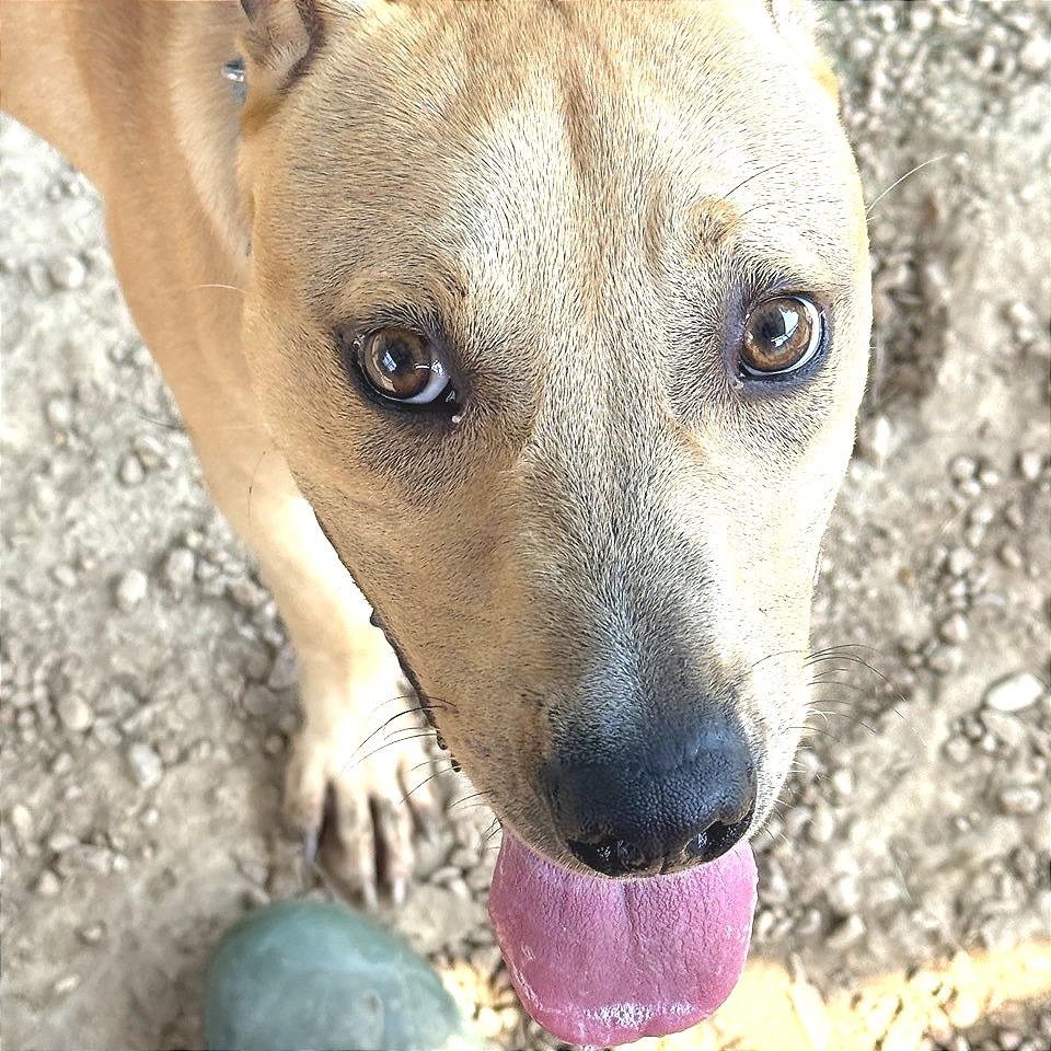 Peggy Schuyler — thumbnail 10