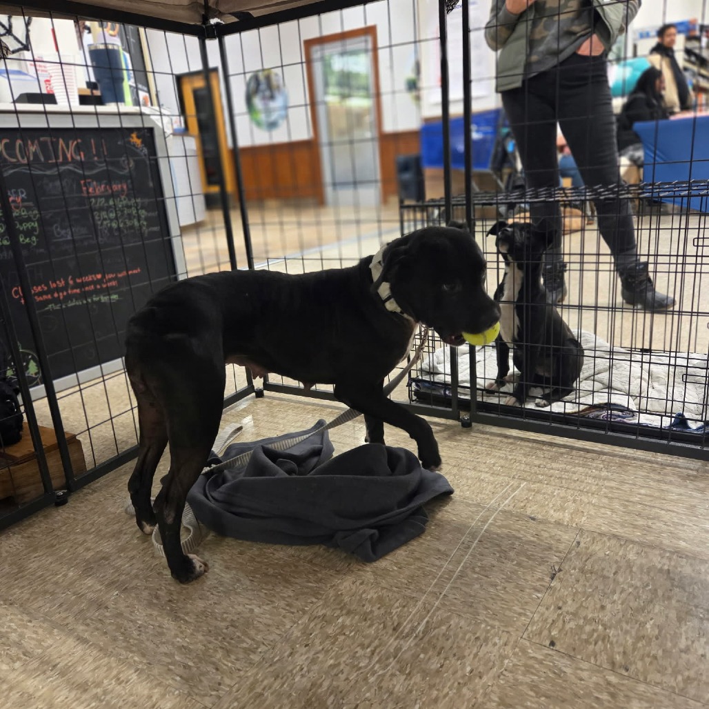 Sunny — thumbnail 15