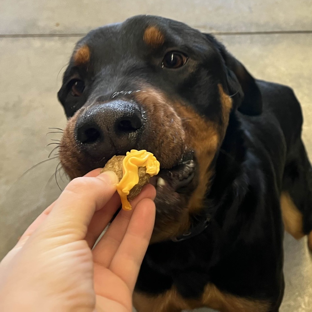 Atlas — thumbnail 3