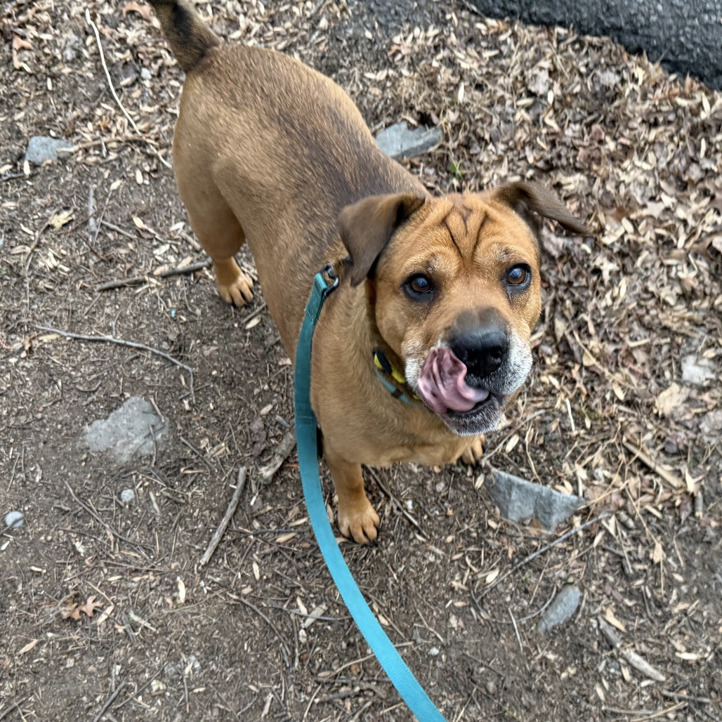 Zoey, photo 27
