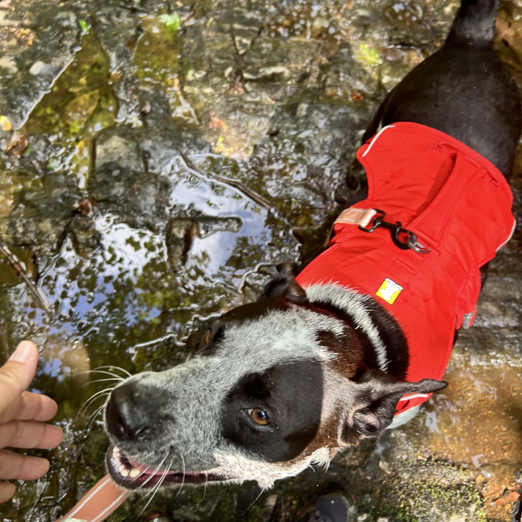 Tracker, photo 18