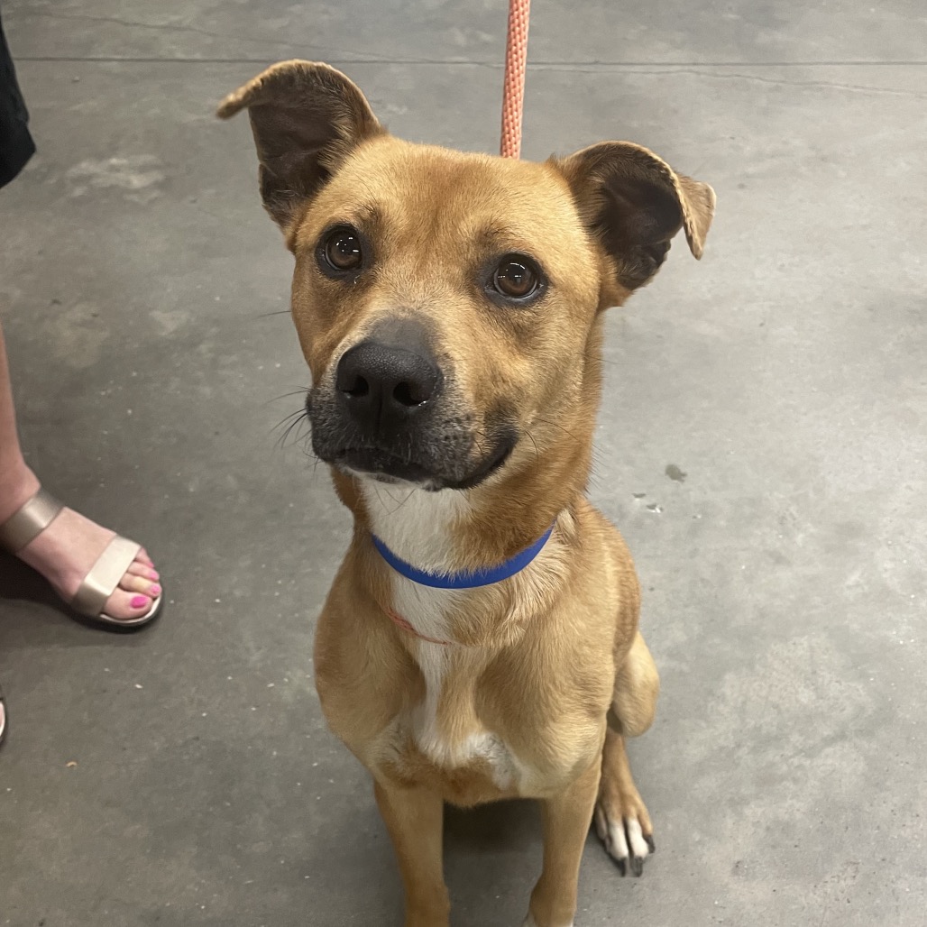 Jackson — thumbnail 2