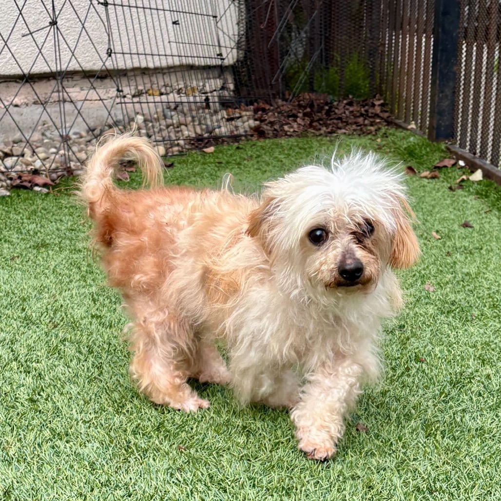 Walter — thumbnail 3