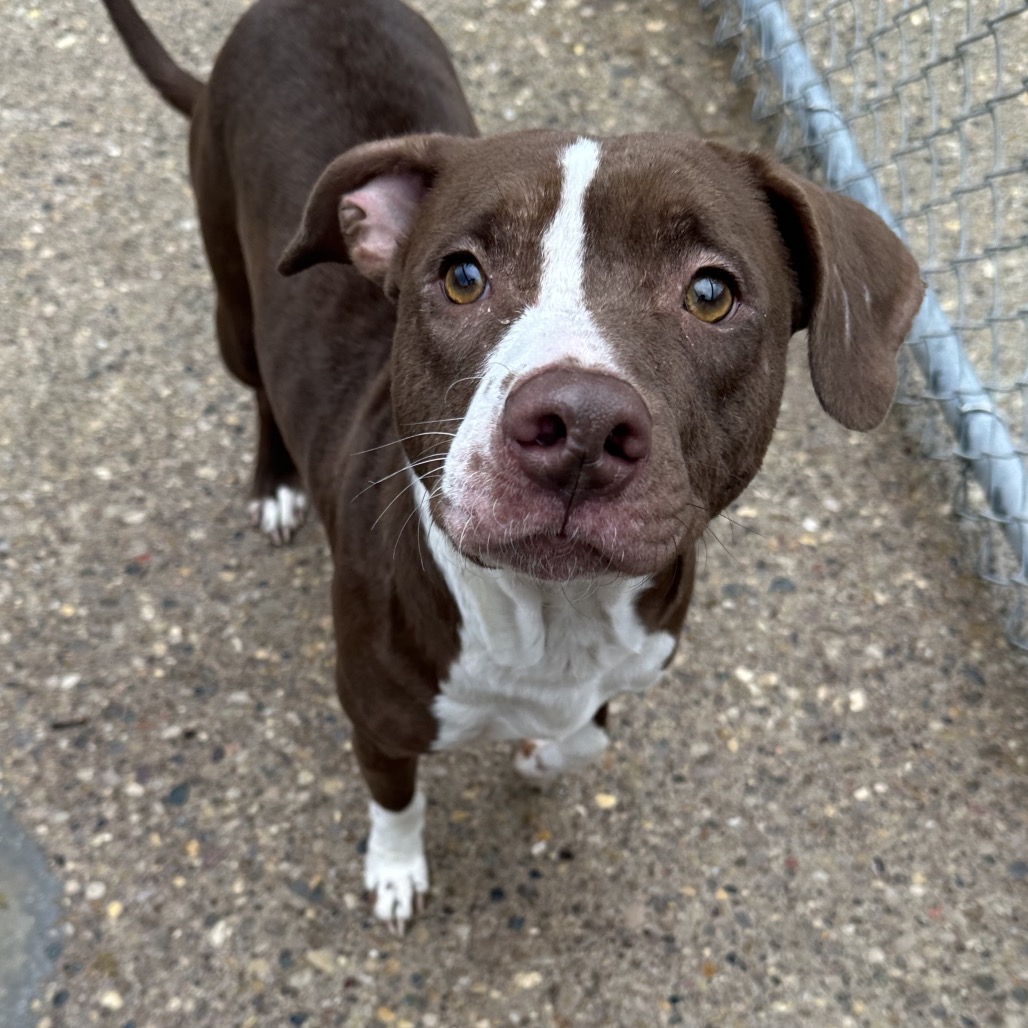 Kiara — thumbnail 5