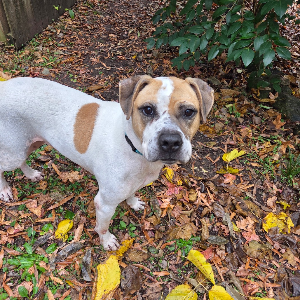 Sammy — thumbnail 3