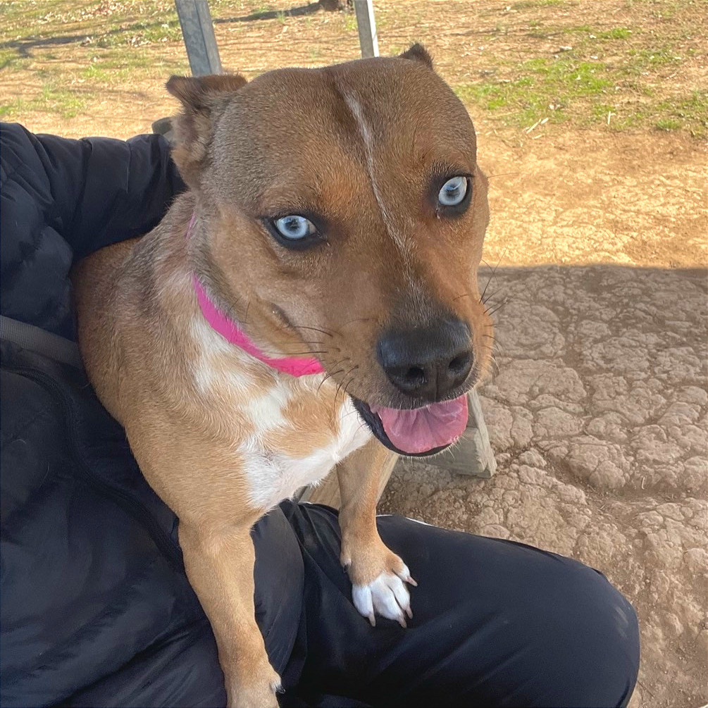 Persephone — thumbnail 11