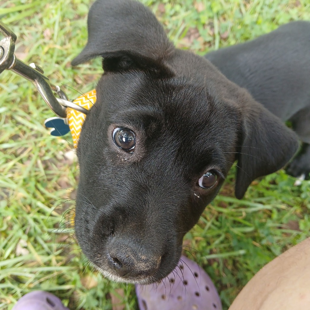 Coco, photo 6