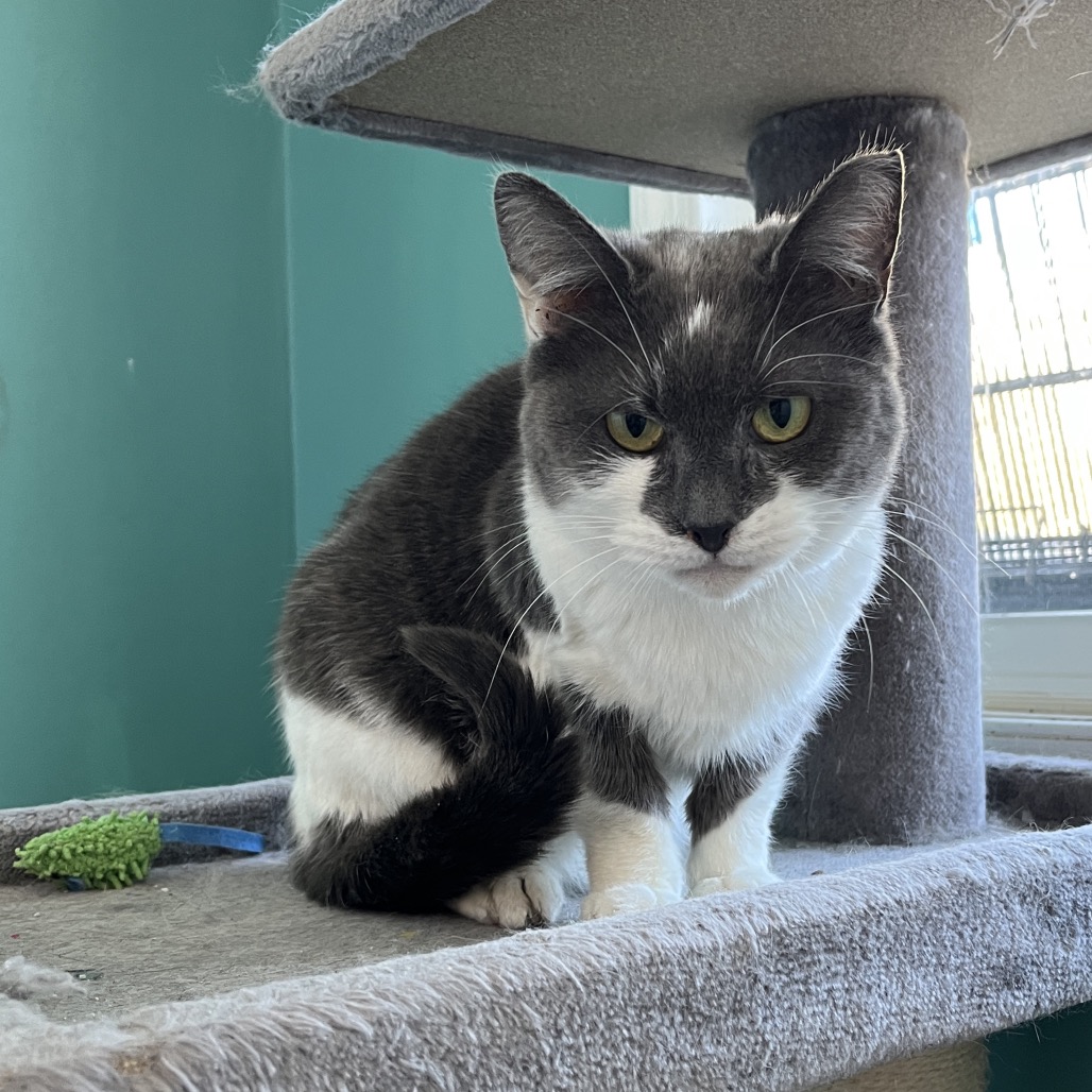 Diane — thumbnail 2