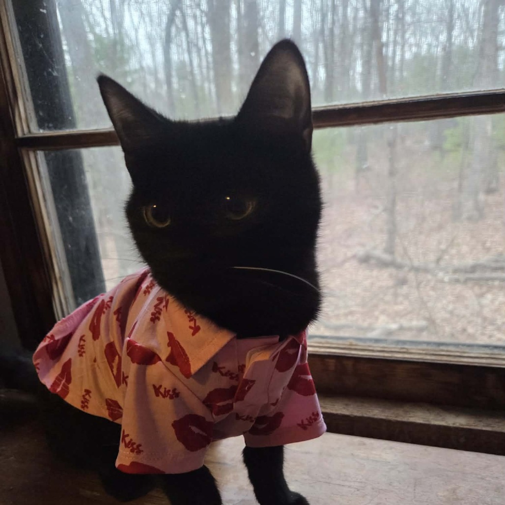 Blake — thumbnail 4