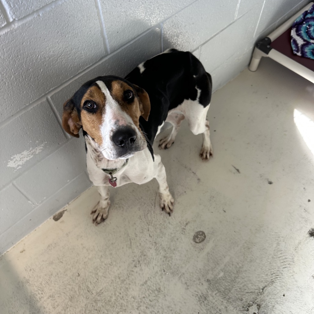 Maisy — thumbnail 4