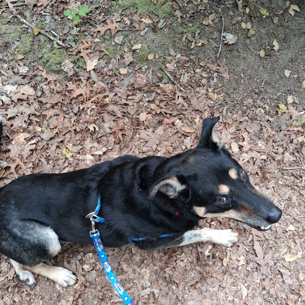 Louie, photo 10