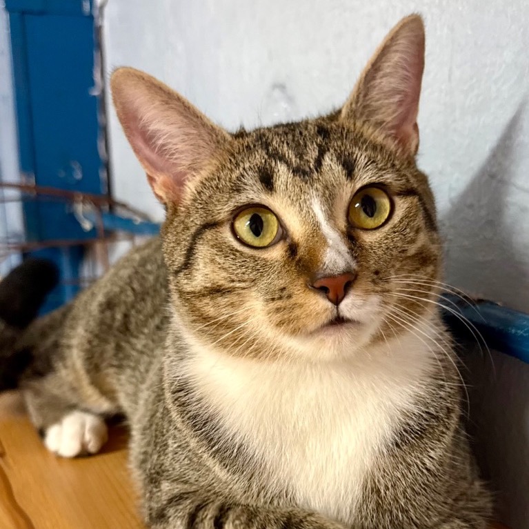 Another portrait of Wanderin’ Winnie