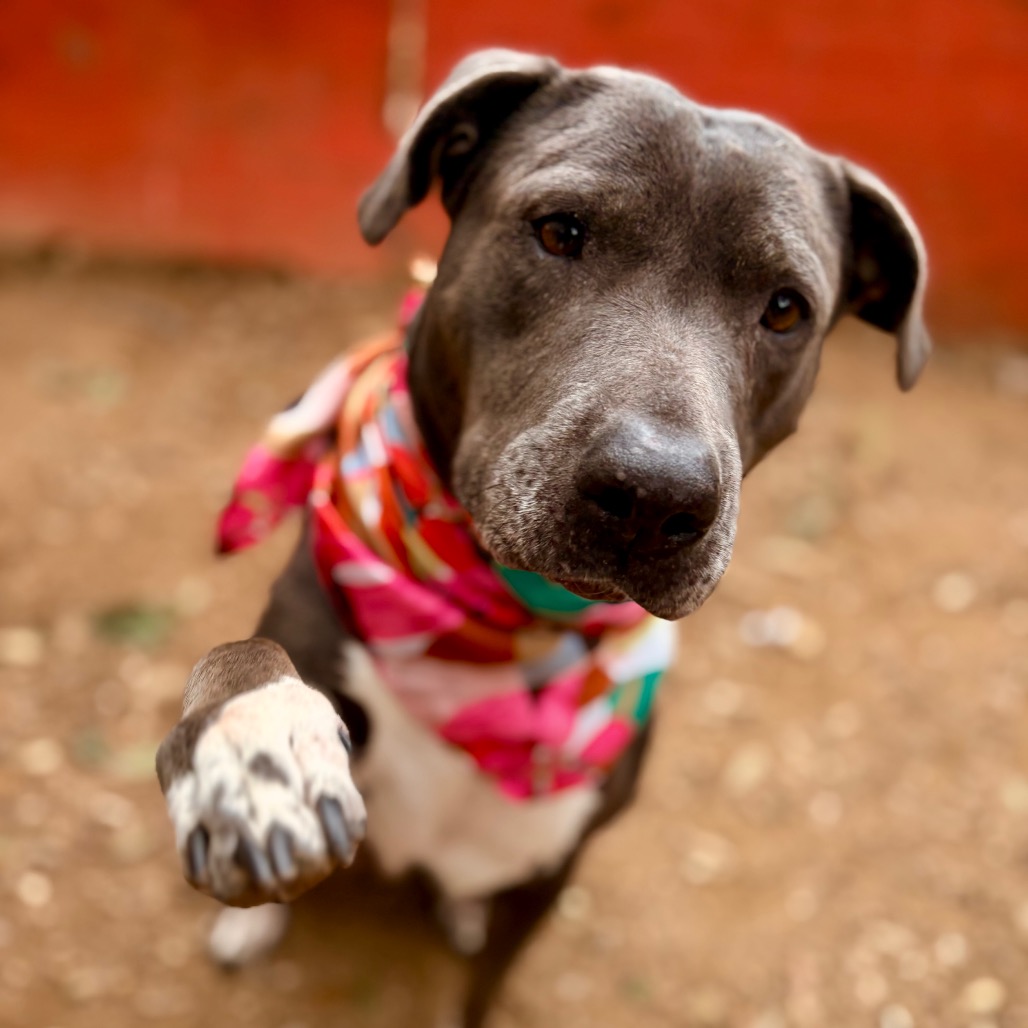 Kiki — thumbnail 10