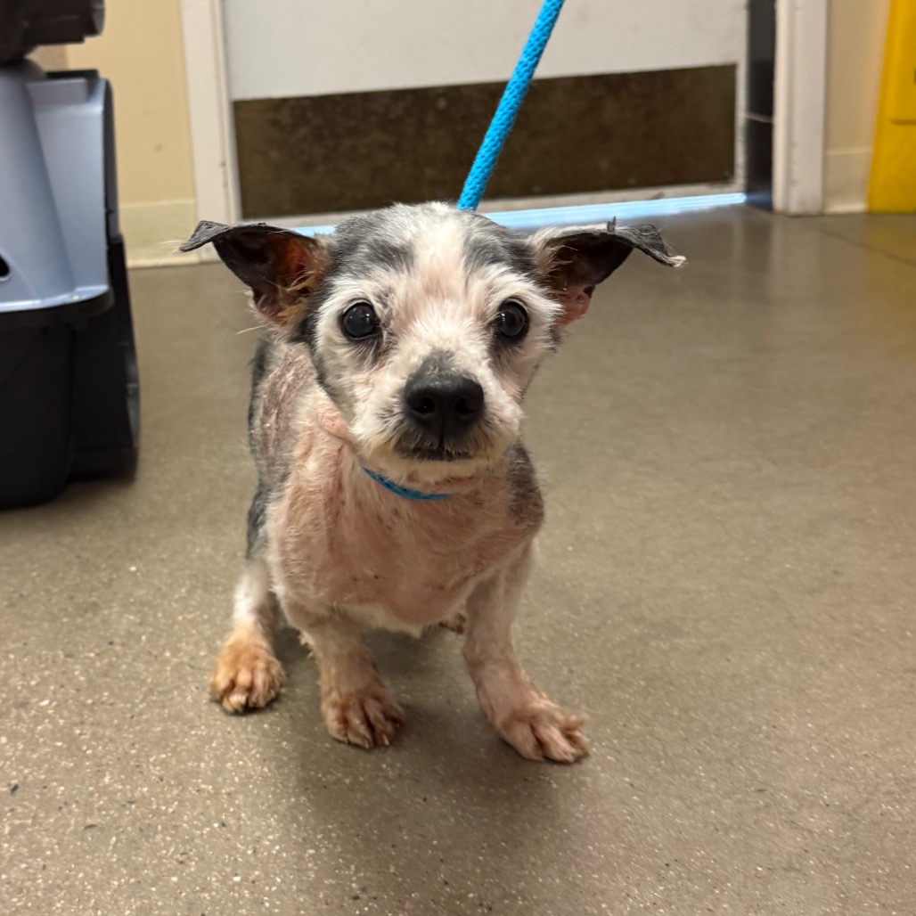 9253bff7c8ec7a940e83a66f01c98a32