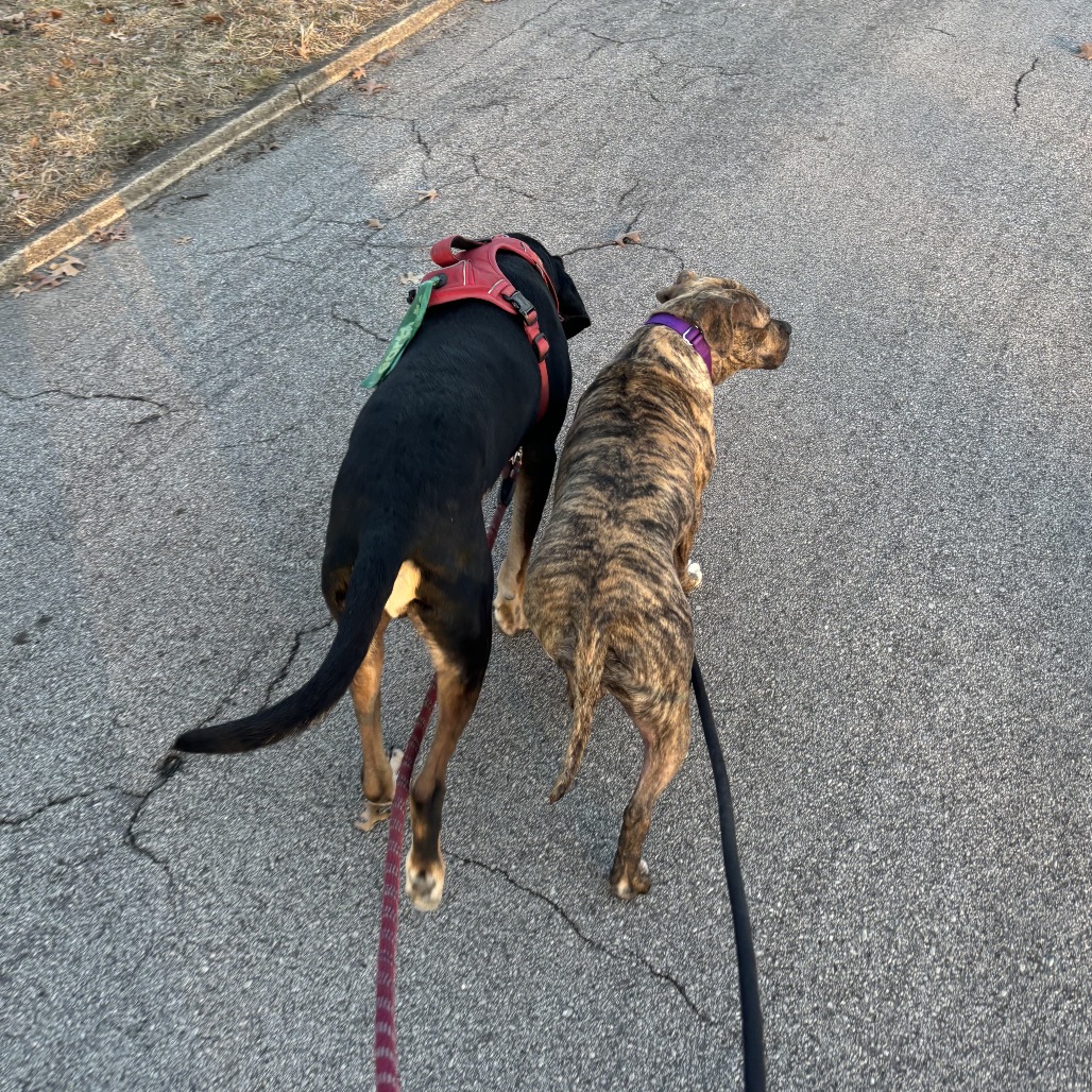 Photo of Baby Stripes 14