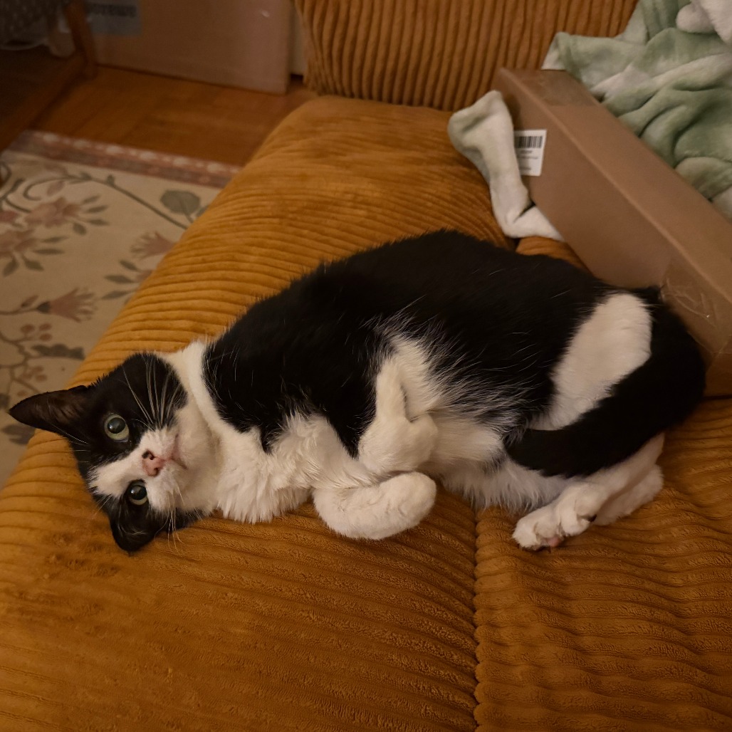 Photo of Prudence