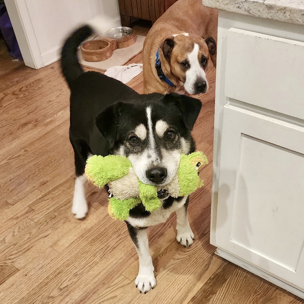 Titan, photo 6 of 12