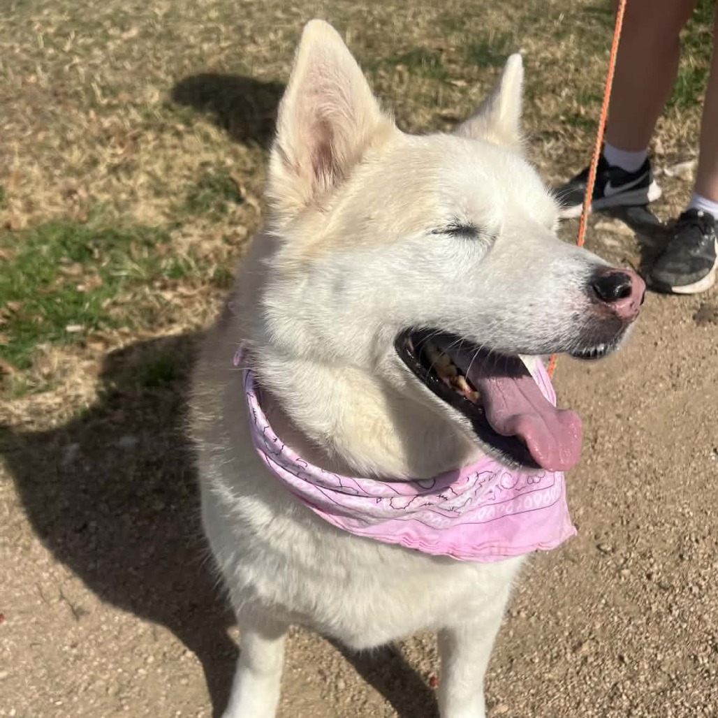 Stormy Weather — thumbnail 10