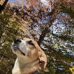 Katy — thumbnail 4