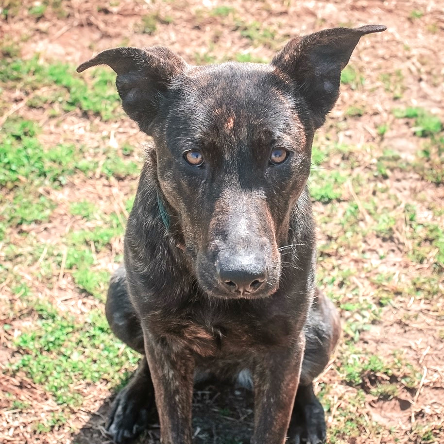 Aphrodite — thumbnail 3