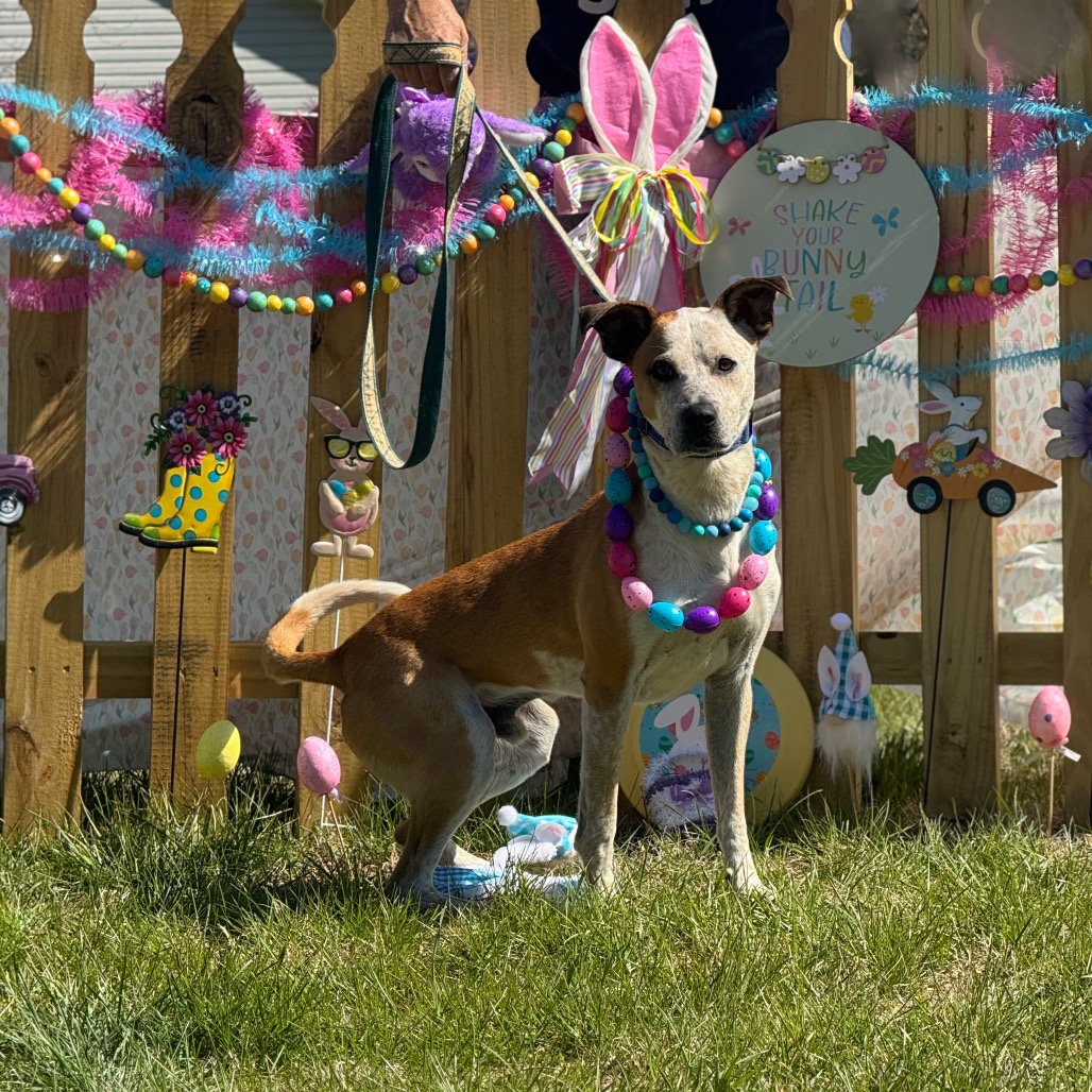 Buster, photo 13