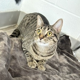 Stormy (AKA Eepy), photo 6