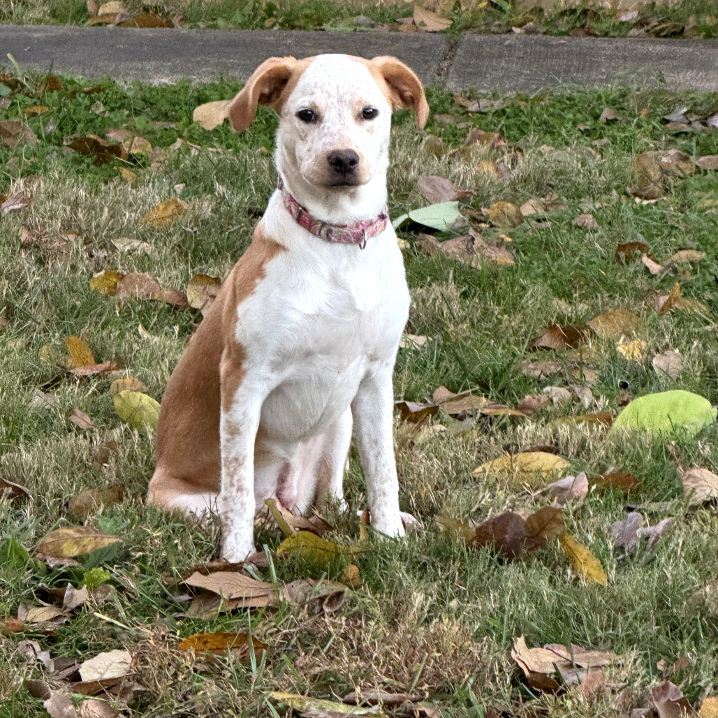 Daisy — thumbnail 5