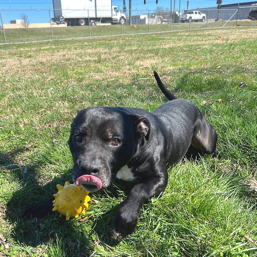 Matteo — thumbnail 2