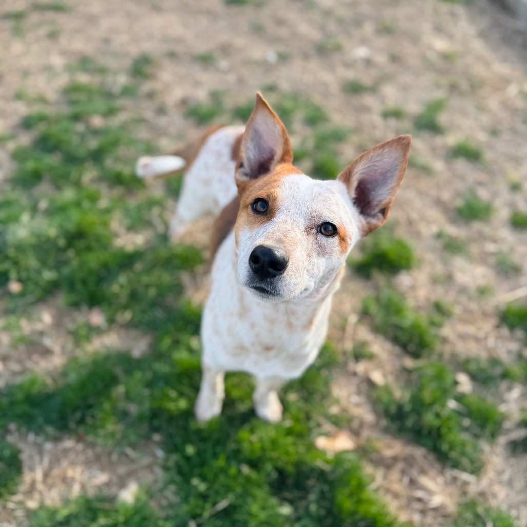 Valorie — thumbnail 4